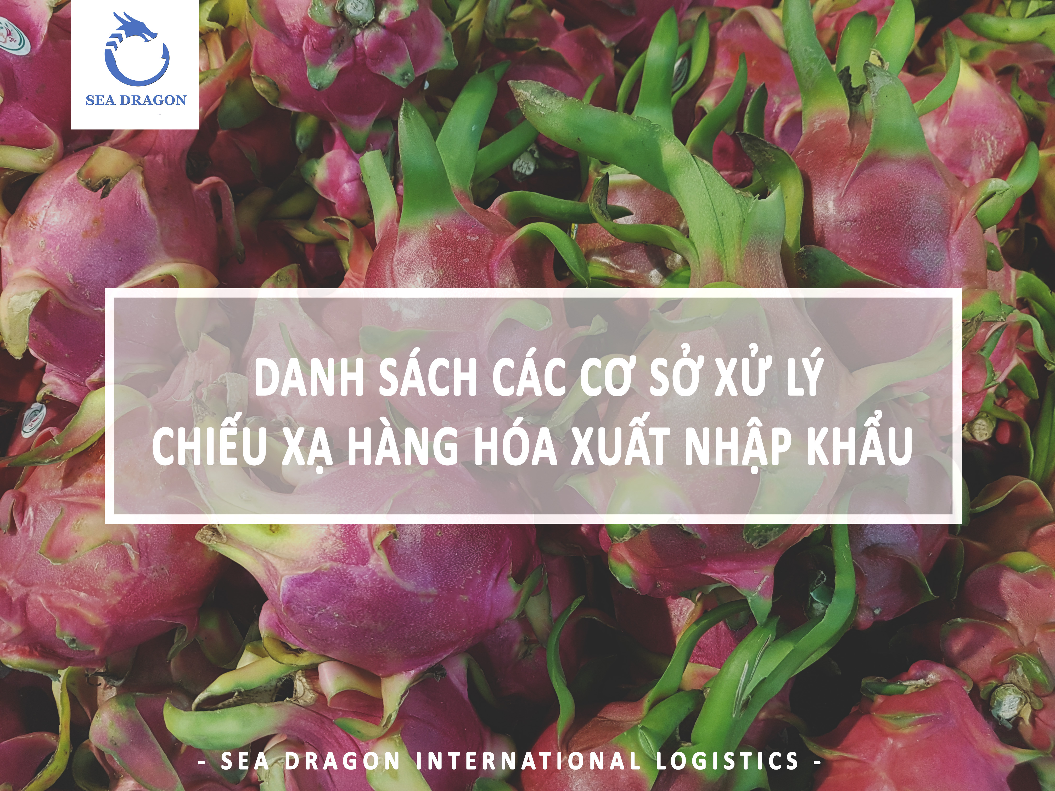 DANH SÁCH CÁC CƠ SỞ XỬ LÝ CHIẾU XẠ HÀNG HÓA XUẤT NHẬP KHẨU - SEA DRAGON LOGISTICS DANH SÁCH CÁC CƠ SỞ XỬ LÝ CHIẾU XẠ HÀNG HÓA XUẤT NHẬP KHẨU - SEA DRAGON LOGISTICS