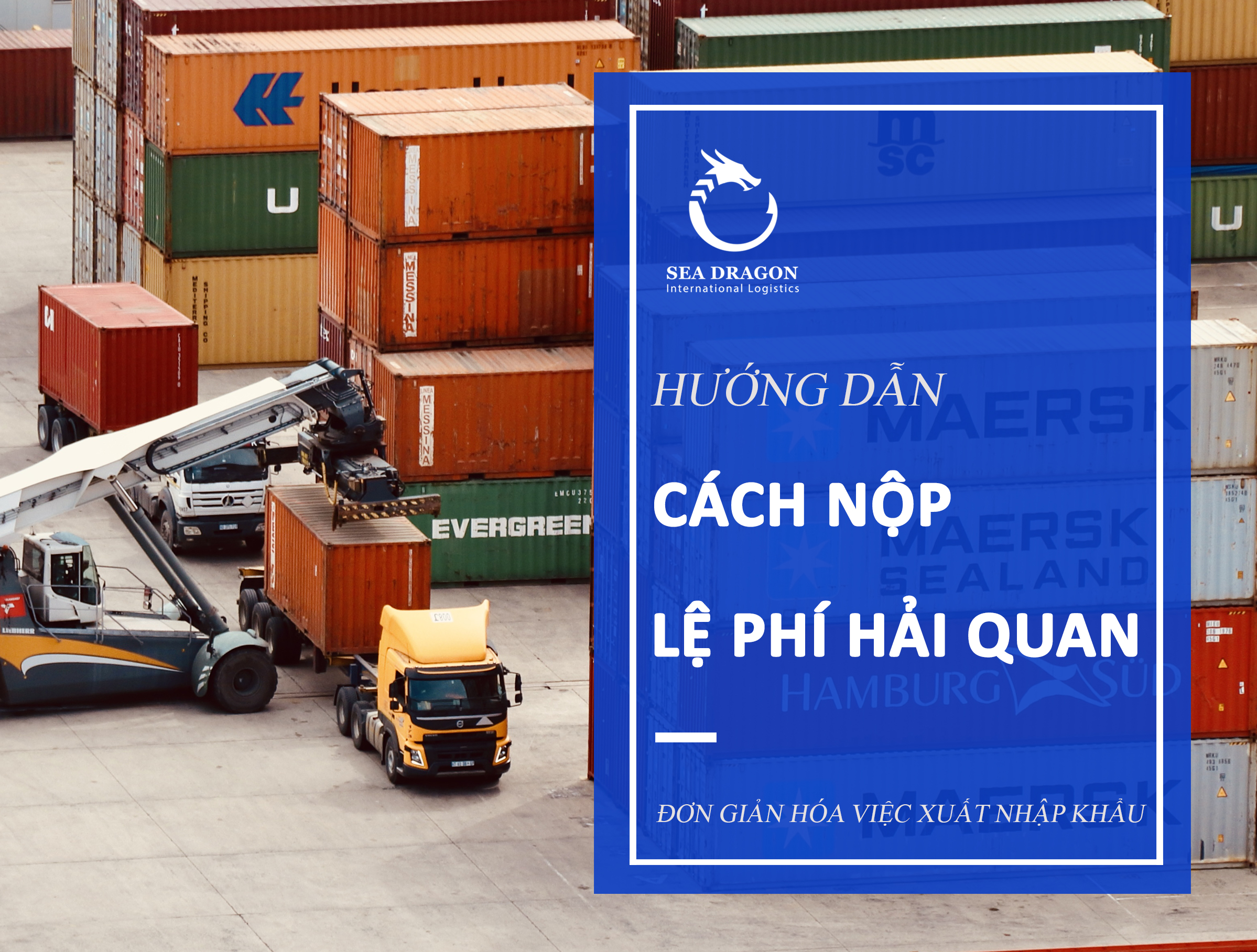 HƯỚNG DẪN C&Aacute;CH NỘP LỆ PH&Iacute; HẢI QUAN 01 - SEA DRAGON LOGISTICS