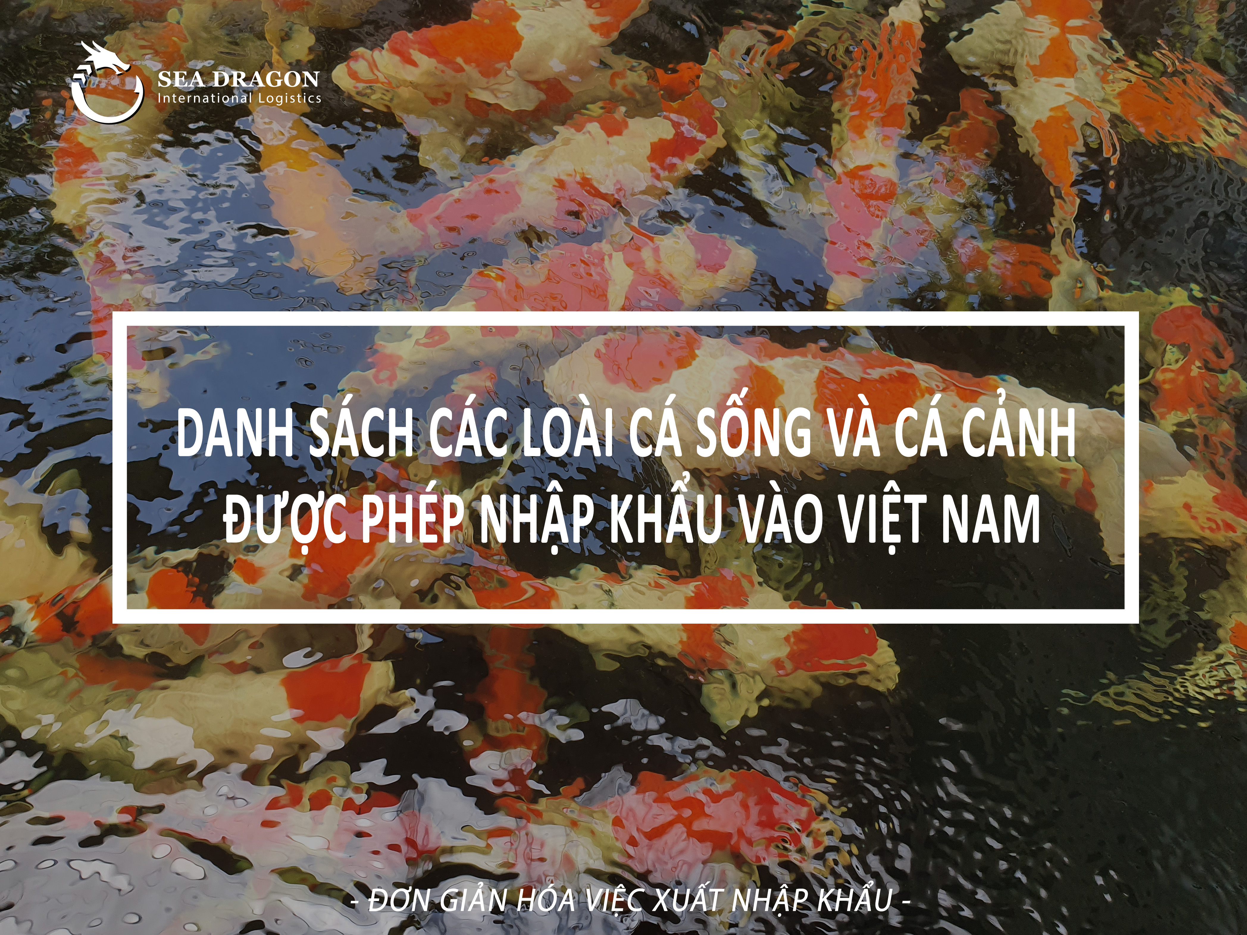 DANH S&Aacute;CH C&Aacute;C LO&Agrave;I C&Aacute; SỐNG V&Agrave; C&Aacute; CẢNH ĐƯỢC PH&Eacute;P NHẬP KHẨU V&Agrave;O VIỆT NAM -SEA DRAGON LOGISTICS
