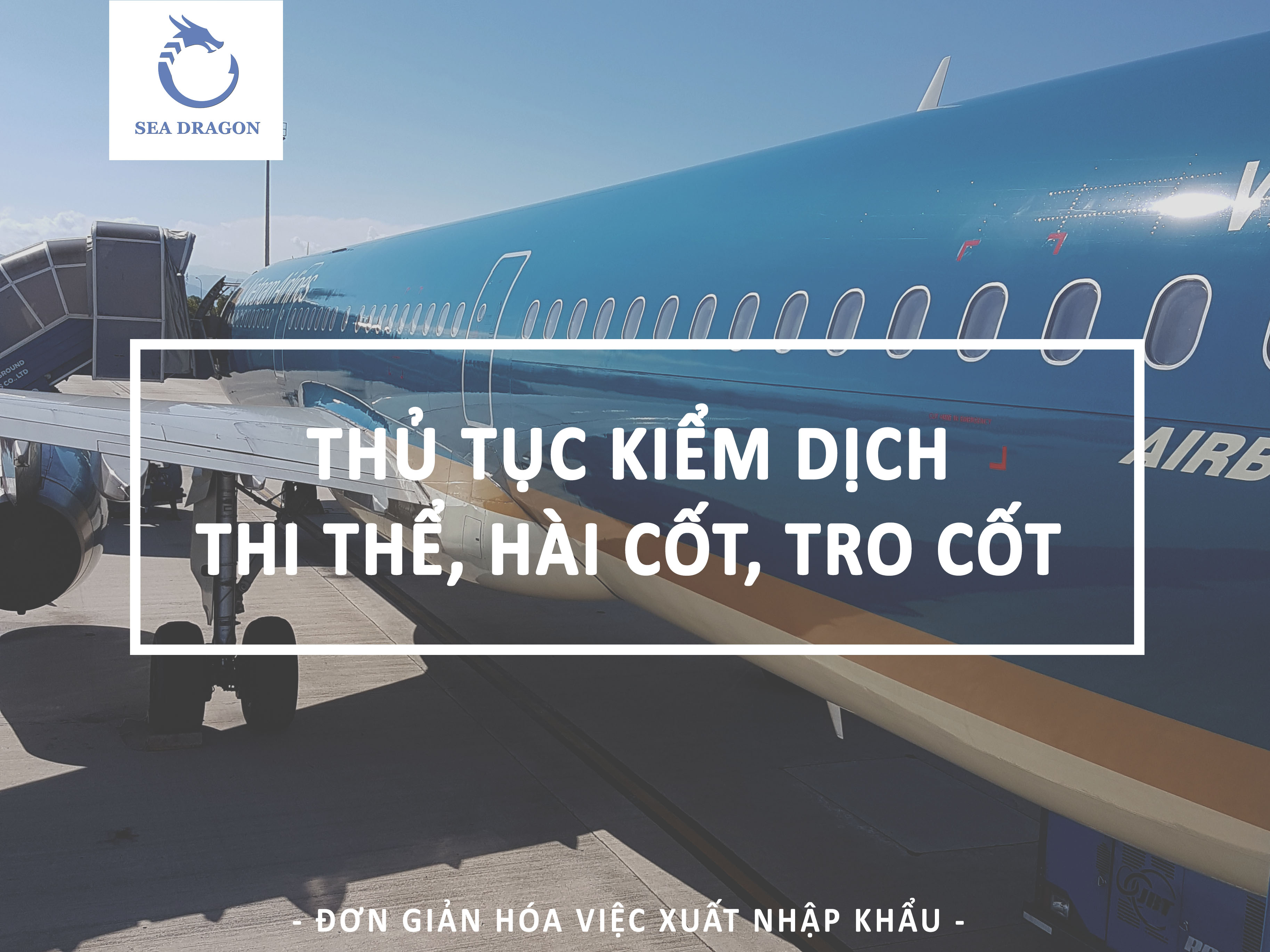 THỦ TỤC KIỂM DỊCH THI THỂ, H&Agrave;I CỐT, TRO CỐT - SEA DRAGON LOGISTICS 